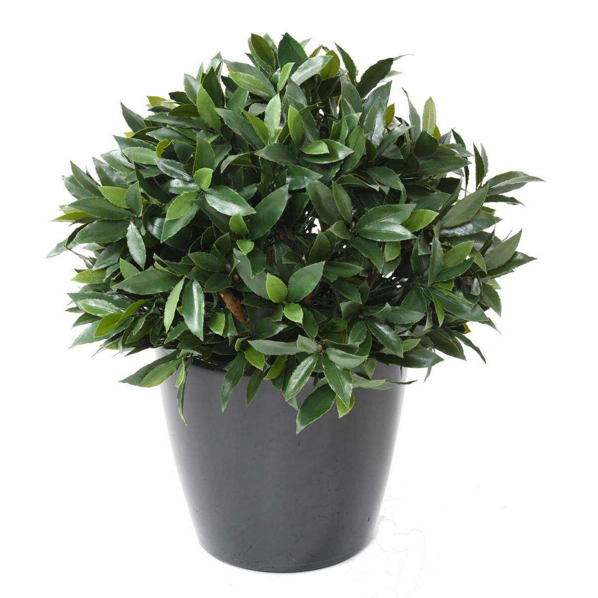 Plante artificielle Laurier boule - feuillage UV résistant - H.65cm vert