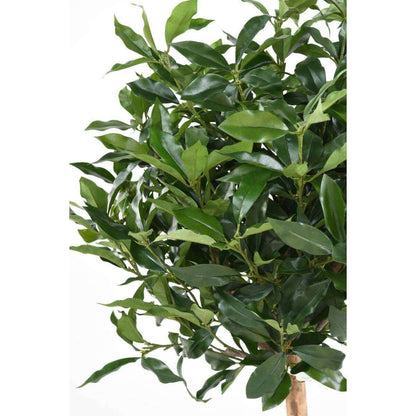 Plante artificielle Laurier Lusitanica tige - plante d'intérieur - H.140cm vert