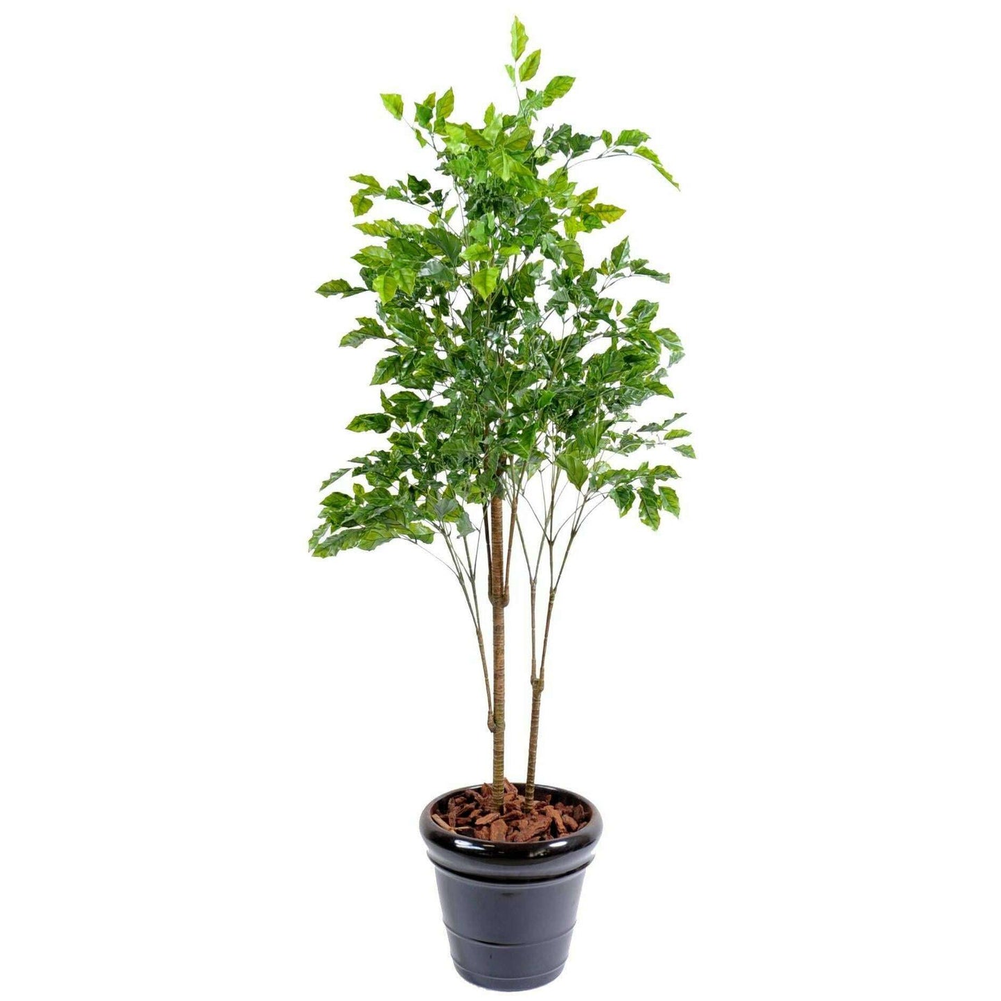 Plante artificielle Palissandre résistant UV - décoration d'extérieur - H.175cm vert