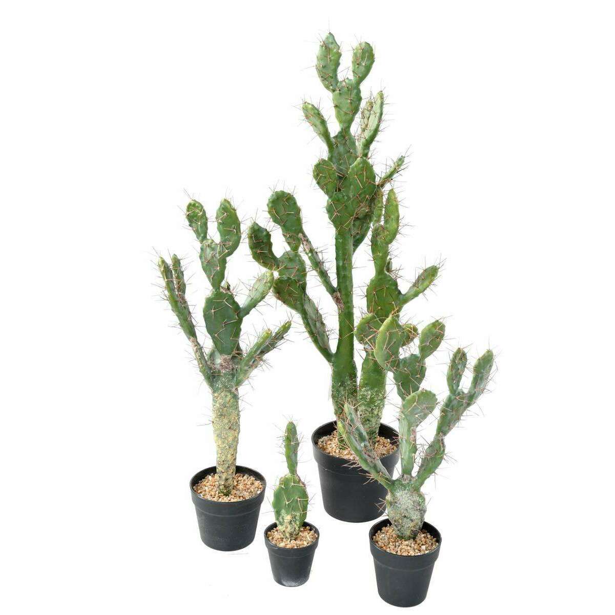Plante artificielle petit Cactus plat- Plante pour intérieur - H. 34 cm  vert