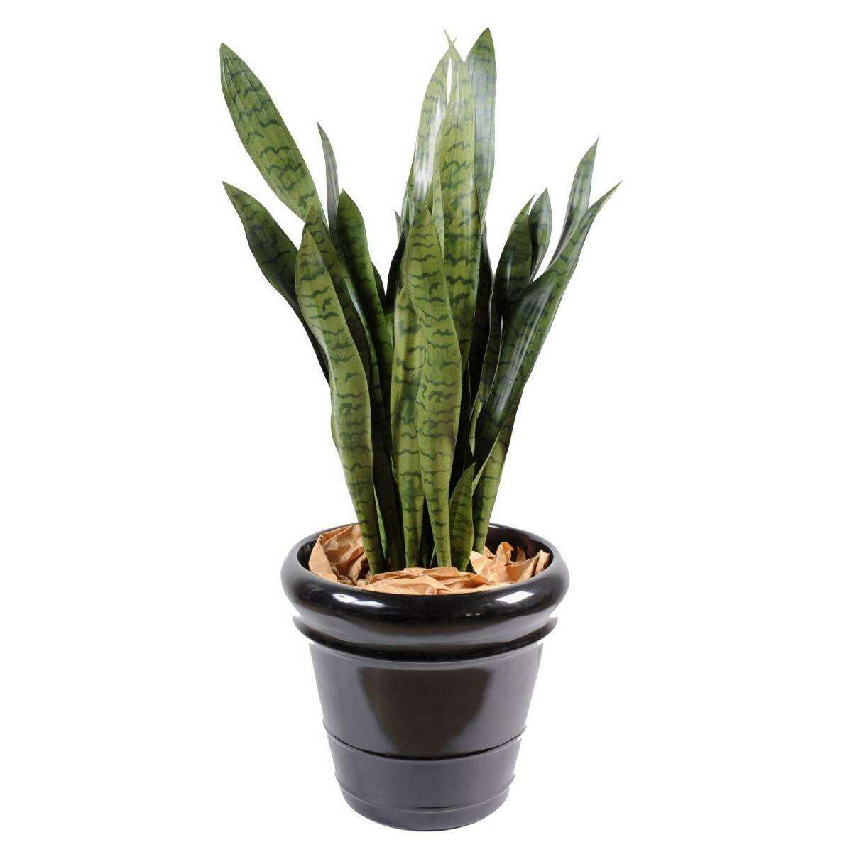 Plante artificielle Sansevieria large - décoration d'intérieur - H.93cm vert