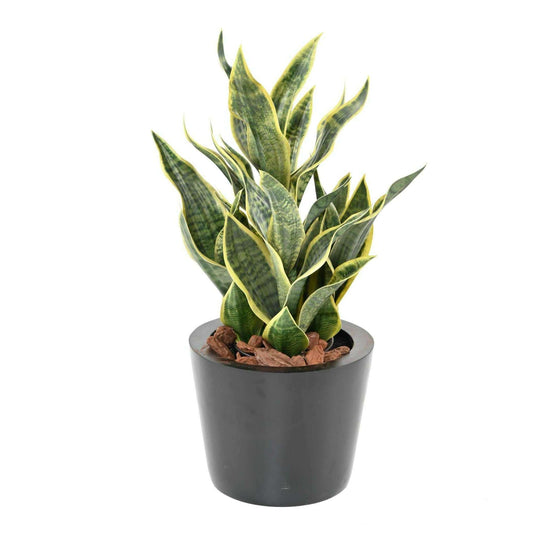 Plante artificielle Sansevieria Masoniana - décoration d'intérieur - H.66cm vert jaune