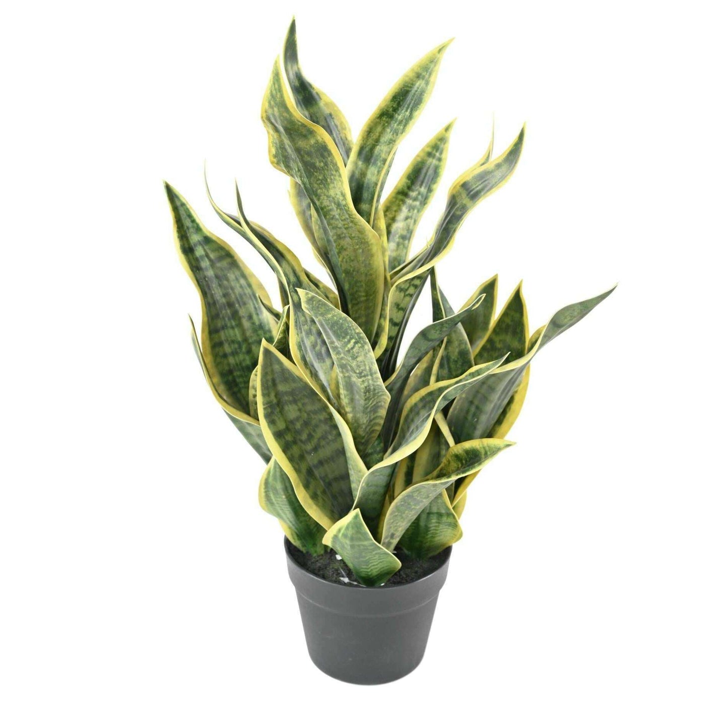 Plante artificielle Sansevieria Masoniana - décoration d'intérieur - H.66cm vert jaune
