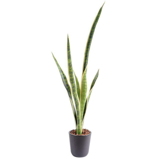 Plante artificielle Sansevieria piquet - succulente pour intérieur - H. 105cm vert jaune