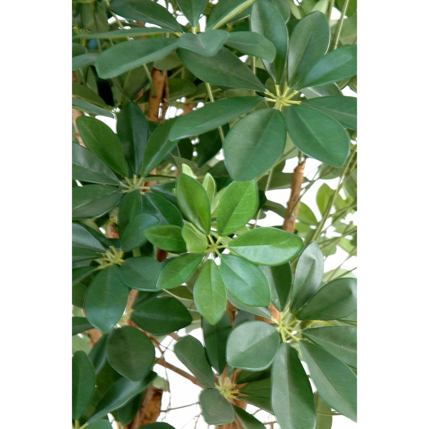 Plante artificielle Schefflera baby tree - décoration d'intérieur - H.150cm vert