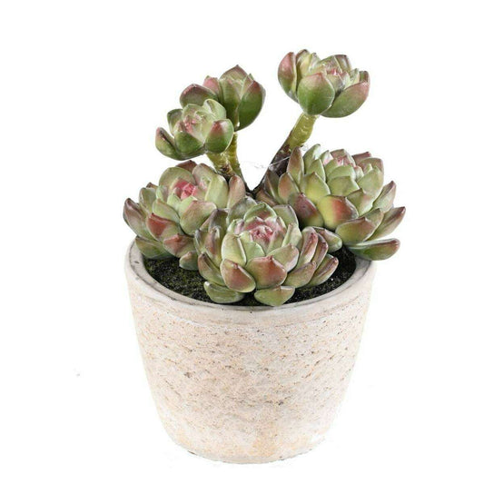 Plante artificielle succulente en pot - plante synthétique d'intérieur - H.18cm