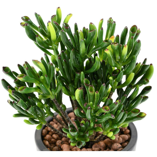 Plante artificielle Succulente Mini - cactus artificiel extérieur - H.18cm
