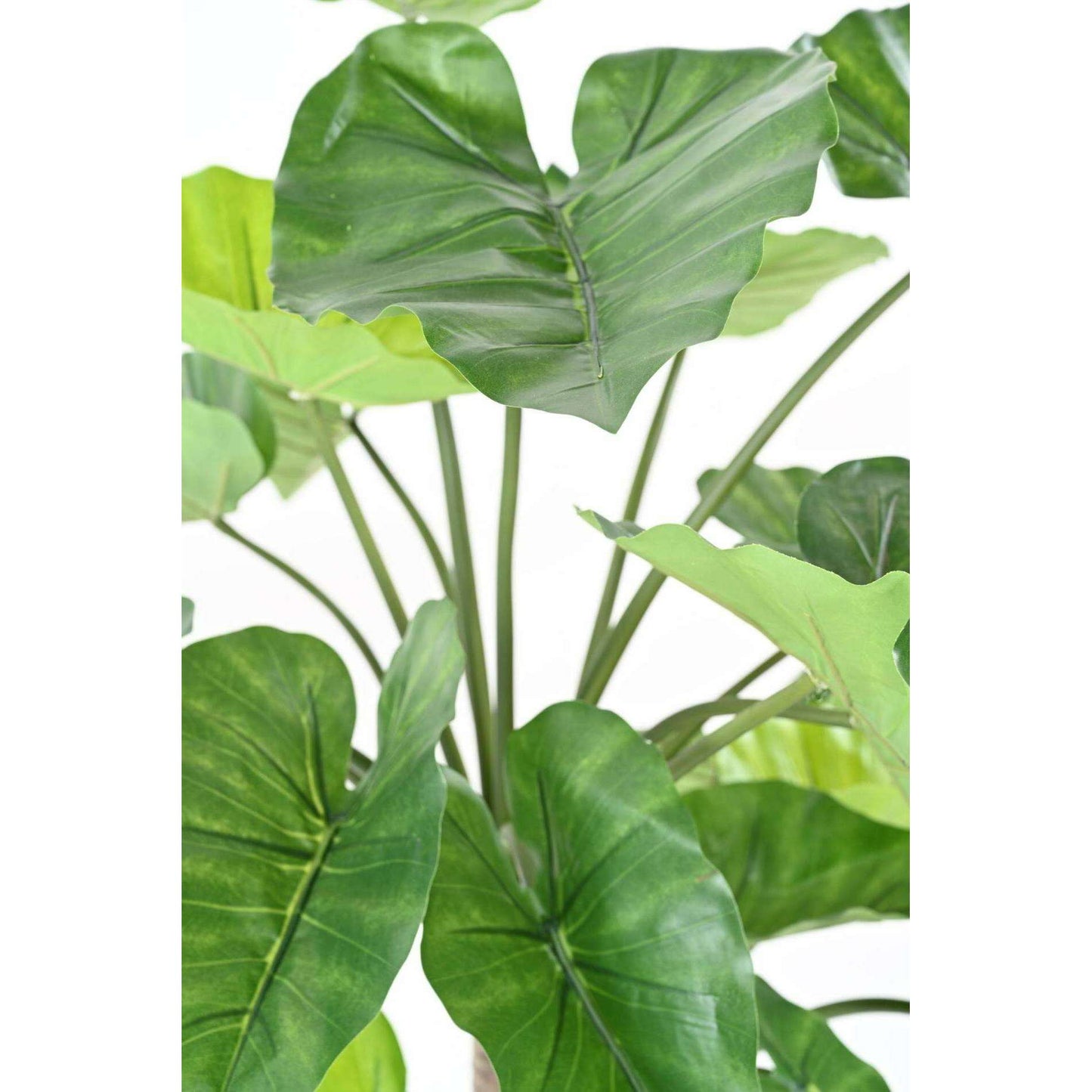 Plante artificielle tropicale Alocasia 3 troncs - décoration d'intérieur - H.130cm vert