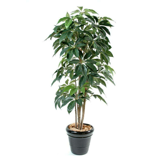 Plante artificielle tropicale Schefflera Amata - intérieur - H.150cm