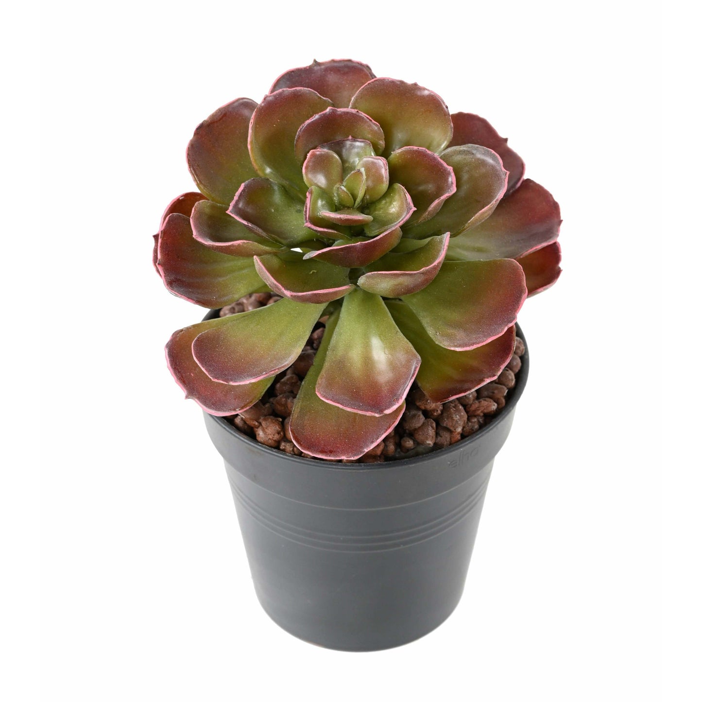Plante grasse artificielle Crassula Echeveria - cactus en piquet - H.22cm