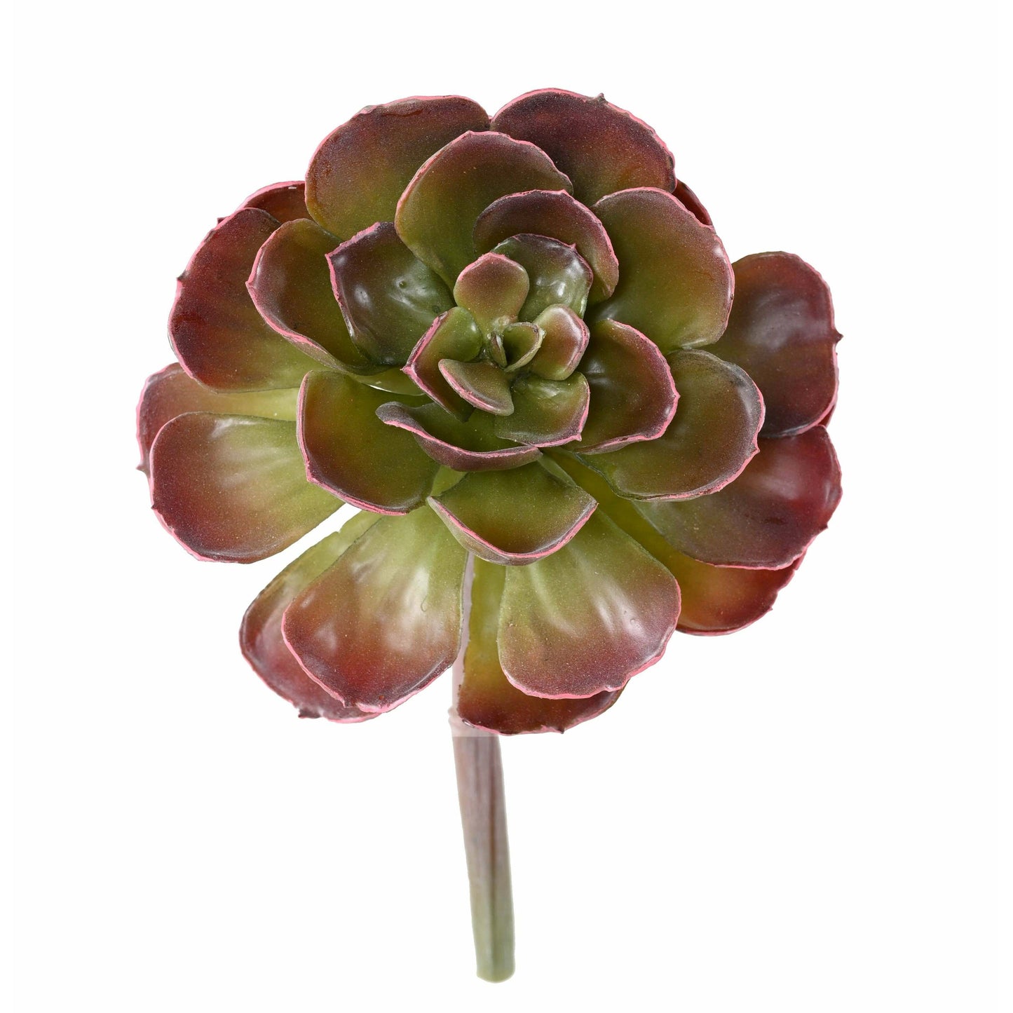 Plante grasse artificielle Crassula Echeveria - cactus en piquet - H.22cm