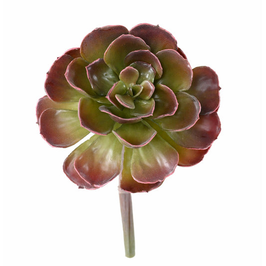 Plante grasse artificielle Crassula Echeveria - cactus en piquet - H.22cm