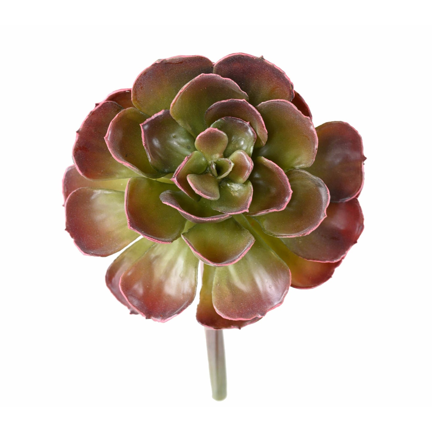 Plante grasse artificielle Crassula Echeveria - cactus en piquet - H.22cm