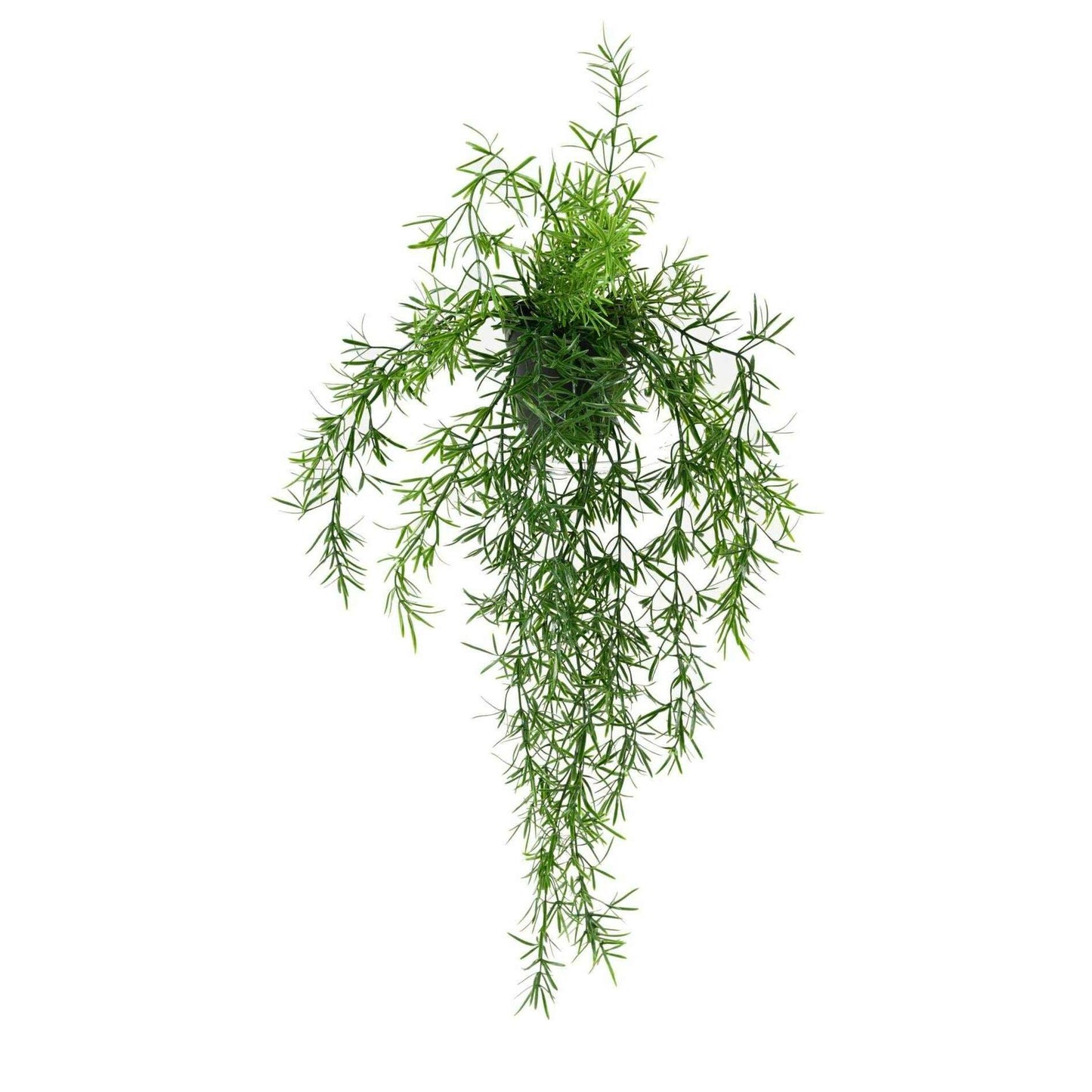 Plante retombante artificielle Asparagus en pot - intérieur extérieur - H.55cm