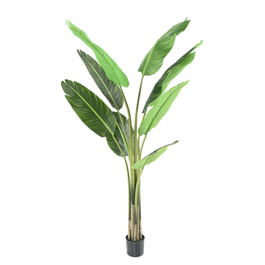 Plante tropicale artificielle Arbre du voyageur - plante d'intérieur - H.150cm