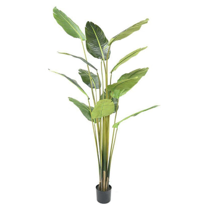Plante tropicale artificielle Arbre du voyageur - plante intérieur - H.220cm