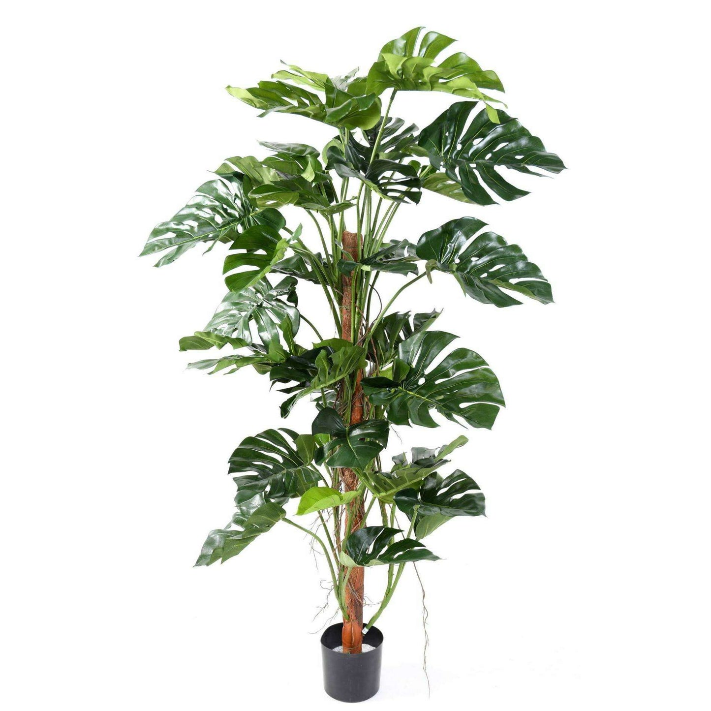 Plante verte artificielle Philodendron tuteur coco - plante d'intérieur - H.160cm