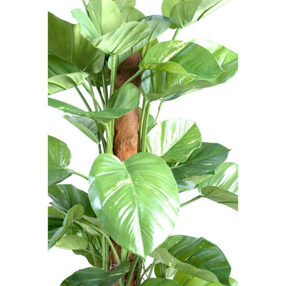 Plante verte artificielle Pothos géant tuteur coco - intérieur - H.150cm