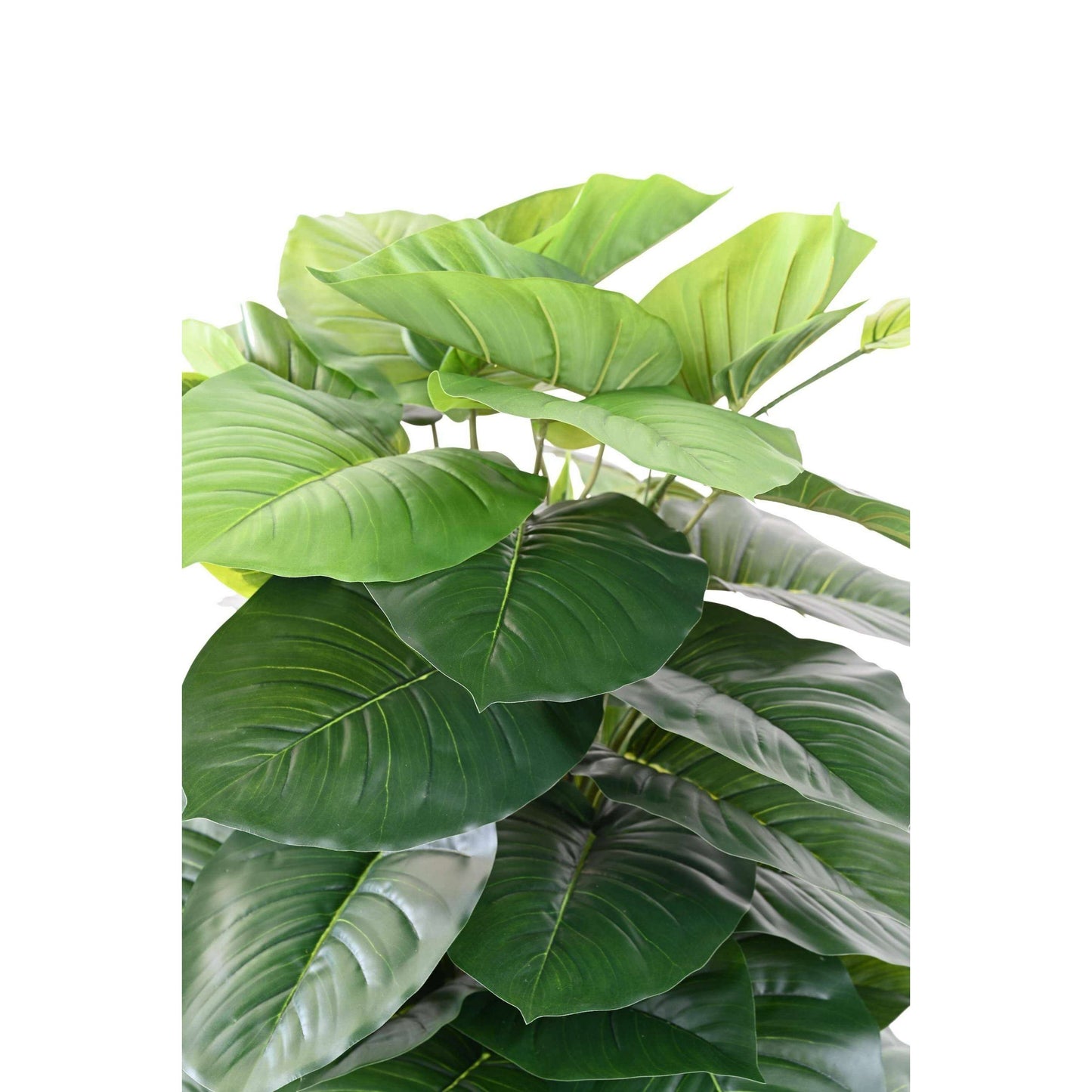 Plante verte artificielle Pothos tuteur coco - décoration d'intérieur - H.120cm