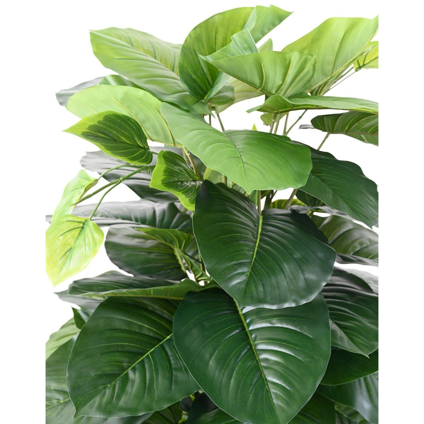 Plante verte artificielle Pothos tuteur coco - décoration d'intérieur - H.120cm