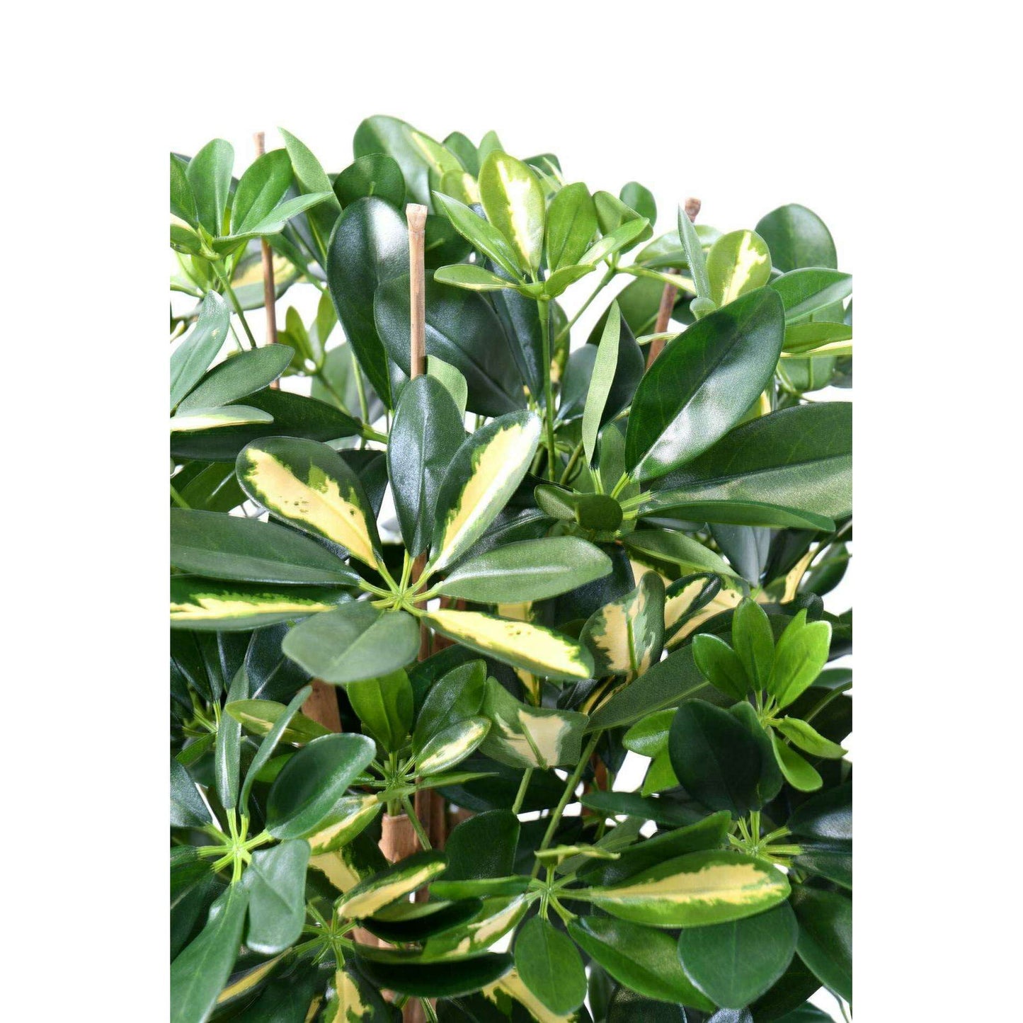 Plante verte artificielle Schefflera - décoration d'intérieur - H.110cm panaché