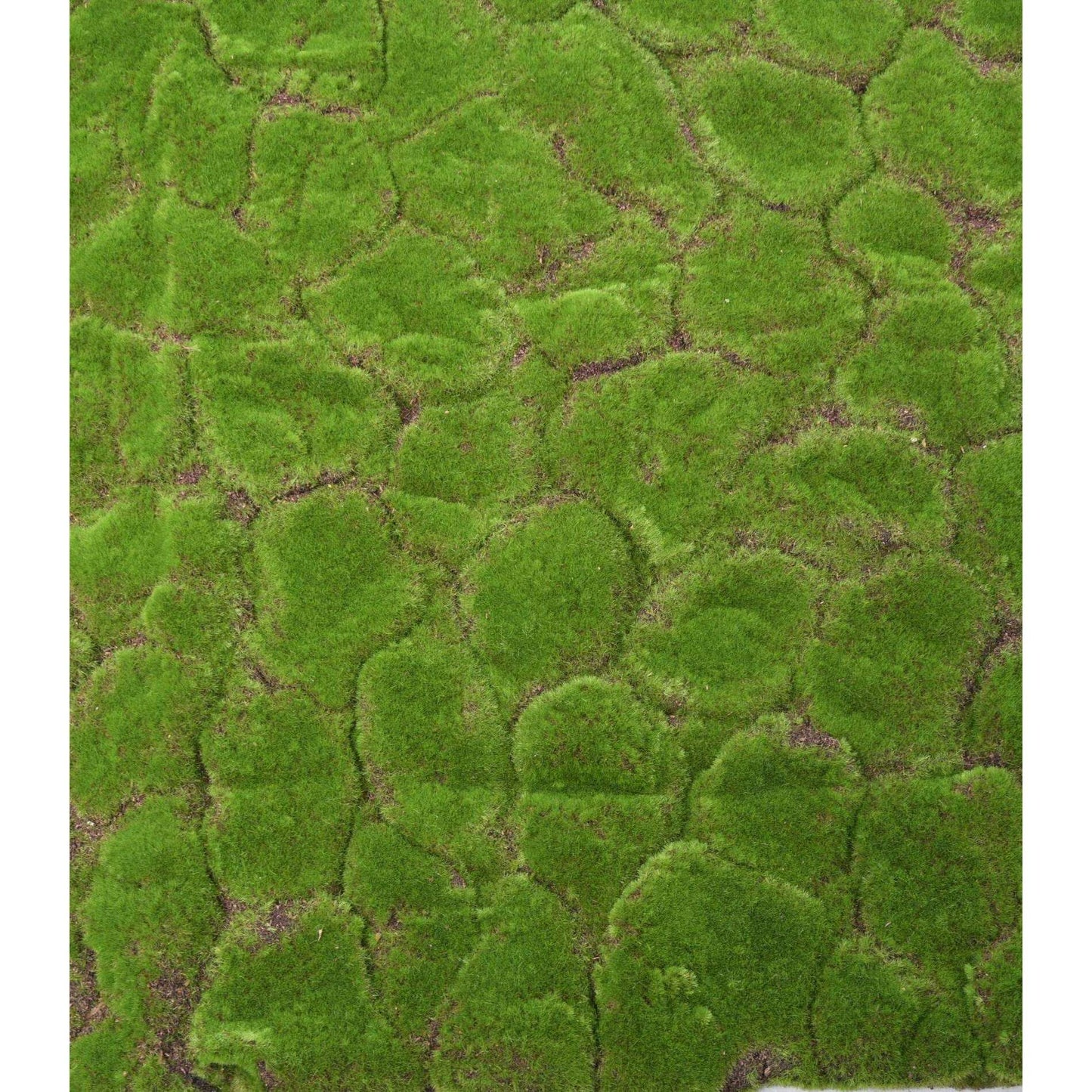 Plaque Mousse artificielle souple - décoration murale - 103x103cm vert