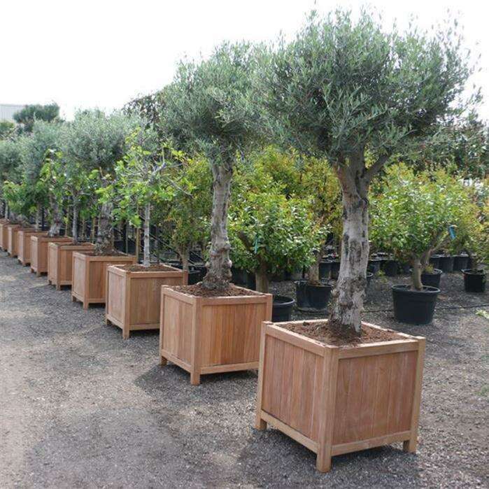 Pot pour fleur bac carr bois exotique Valencia - extrieur jardin -  H.60x120cm