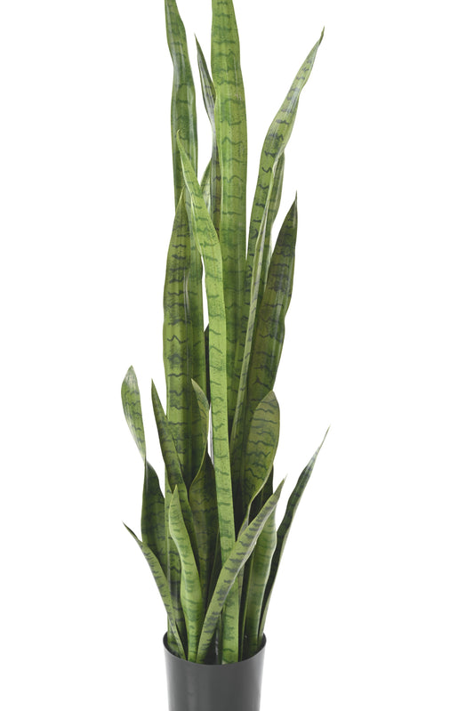 Plante artificielle Sansevieria - 26 feuilles - décoration d'intérieur - H.155cm vert
