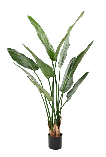 Plante artificielle Strelitzia Nicolai - décoration d'intérieur - H.150cm vert