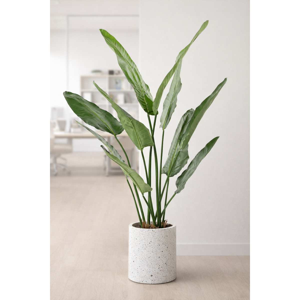 Plante artificielle Strelitzia Nicolai - décoration d'intérieur