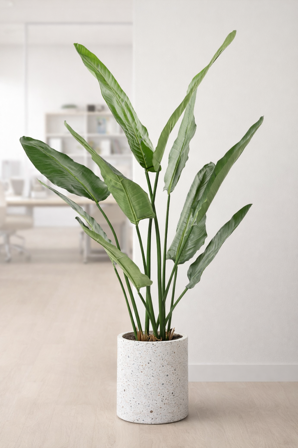 Plante artificielle Strelitzia Nicolai - décoration d'intérieur - H.150cm vert