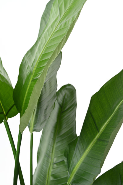 Plante artificielle Strelitzia Nicolai - décoration d'intérieur - H.150cm vert