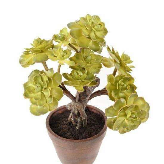 Succulente artificielle en pot terre cuite - plante d'intérieur - H.35cm