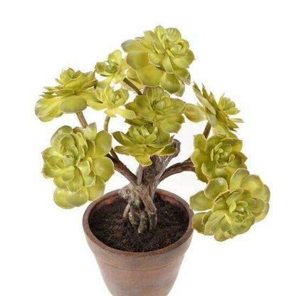 Succulente artificielle en pot terre cuite - plante d'intérieur - H.35cm