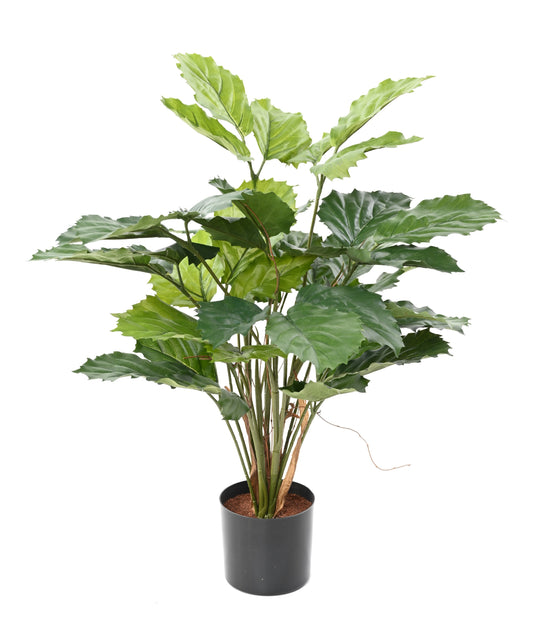 Plante artificielle Tetrastigma - plante tropicale d'intérieur - H.70 cm