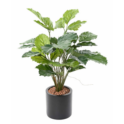 Plante artificielle Tetrastigma - plante tropicale d'intérieur - H.70 cm